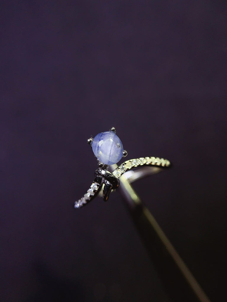 JCX - 0620 - 162846 - 5 - 1 - 貴婦人の宝箱