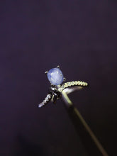 画像をギャラリービューアに読み込む, JCX - 0620 - 162846 - 5 - 1 - 貴婦人の宝箱