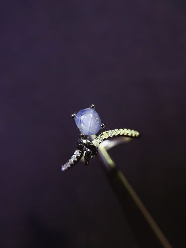 JCX - 0620 - 162846 - 5 - 1 - 貴婦人の宝箱