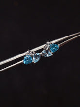 画像をギャラリービューアに読み込む, JCX - 0620 - 163016 - 6 - 1 - 貴婦人の宝箱