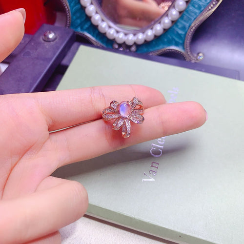 JCX - 0620 - 163242 - 1 - 貴婦人の宝箱