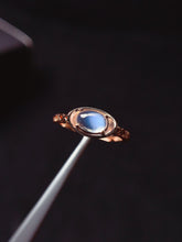 画像をギャラリービューアに読み込む, JCX - 0620 - 163255 - 1 - 貴婦人の宝箱