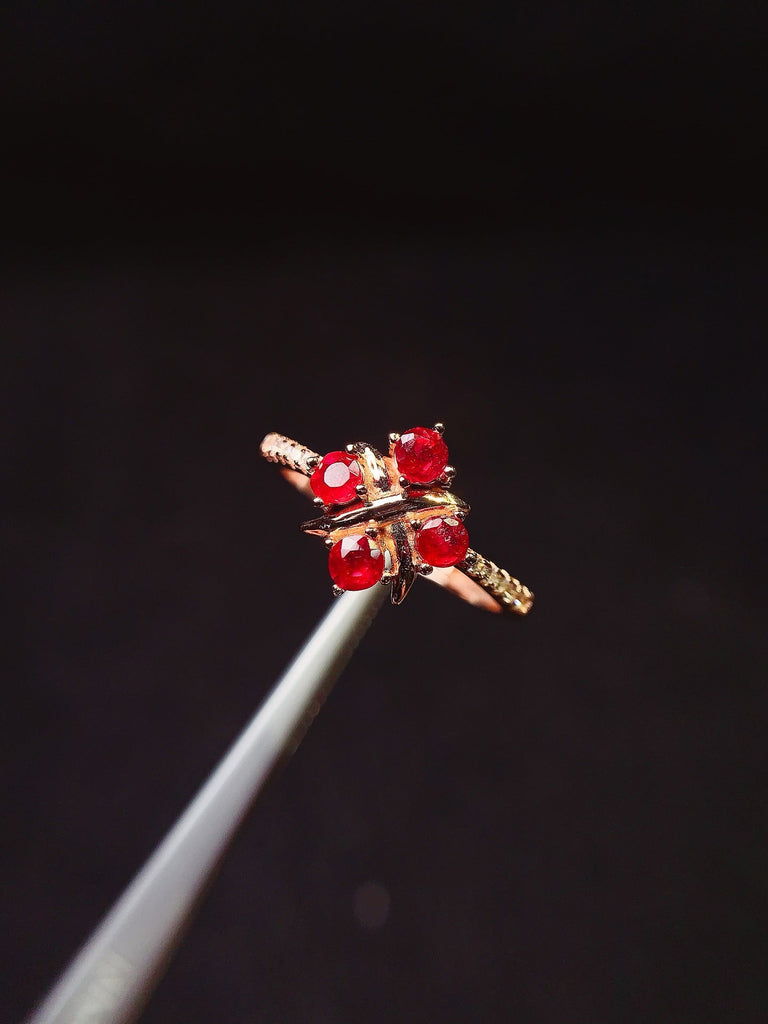 JCX - 0620 - 163347 - 3 - 1 - 貴婦人の宝箱