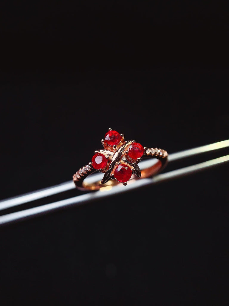 JCX - 0620 - 163347 - 3 - 1 - 貴婦人の宝箱