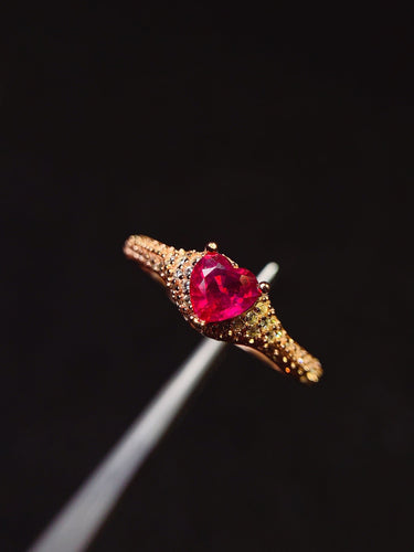 JCX - 0620 - 163427 - 5 - 1 - 貴婦人の宝箱