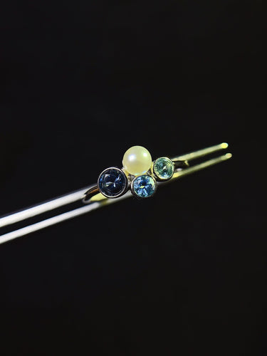 JCX - 0630 - 130051 - 5 - 1 - 貴婦人の宝箱