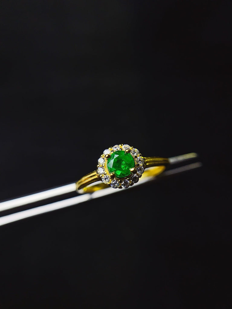 JCX - 0630 - 132853 - 5 - 1 - 貴婦人の宝箱