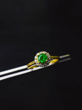 Load image into Gallery viewer, JCX - 0630 - 132853 - 5 - 1 - 貴婦人の宝箱