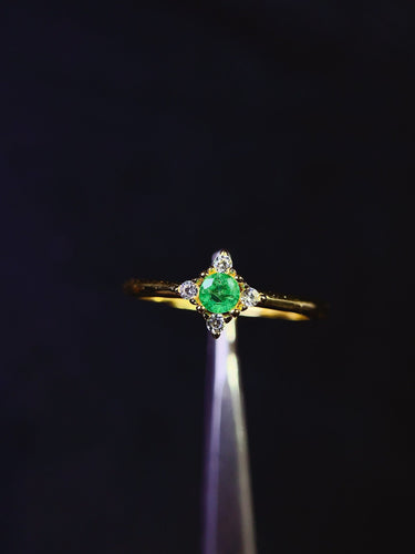 JCX - 0630 - 132929 - 3 - 1 - 貴婦人の宝箱