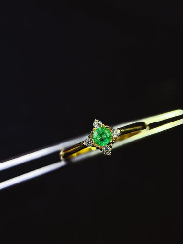 JCX - 0630 - 132929 - 3 - 1 - 貴婦人の宝箱