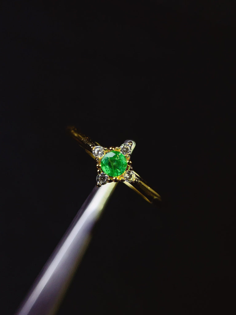 JCX - 0630 - 132929 - 3 - 1 - 貴婦人の宝箱