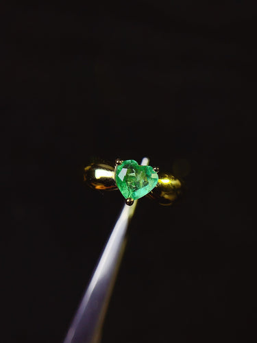 JCX - 0630 - 133005 - 6 - 1 - 貴婦人の宝箱