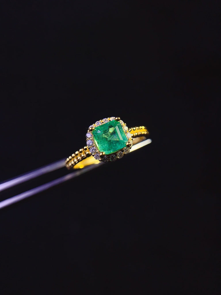 JCX - 0630 - 133110 - 6 - 1 - 貴婦人の宝箱