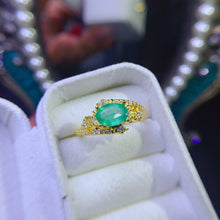 Load image into Gallery viewer, JCX - 0630 - 133541 - 8 - 1 - 貴婦人の宝箱