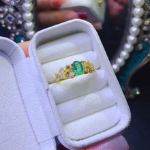 画像をギャラリービューアに読み込む, JCX - 0630 - 133658 - 7 - 1 - 貴婦人の宝箱