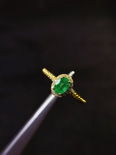 JCX - 0630 - 133835 - 6 - 1 - 貴婦人の宝箱