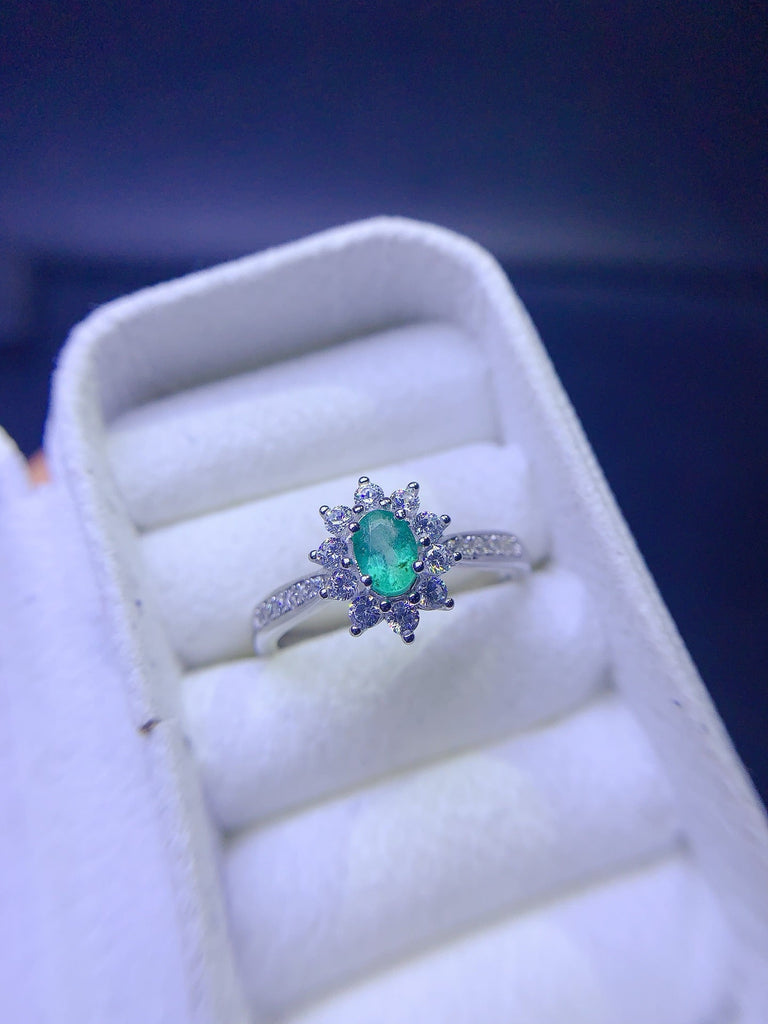 JCX - 0630 - 133842 - 6 - 1 - 貴婦人の宝箱