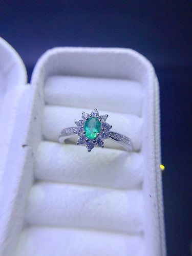 JCX - 0630 - 133842 - 6 - 1 - 貴婦人の宝箱