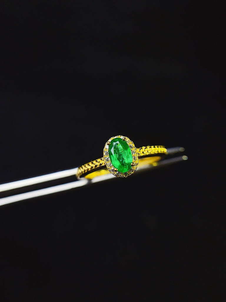 JCX - 0630 - 133956 - 6 - 1 - 貴婦人の宝箱