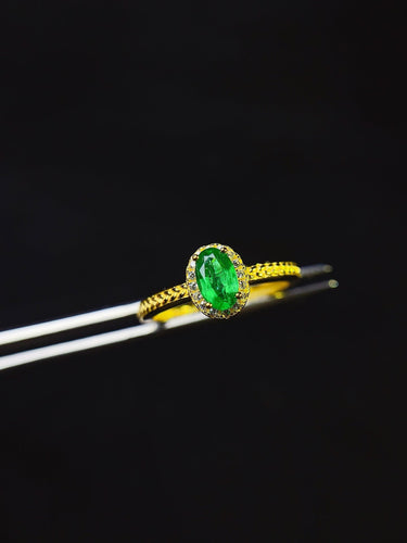 JCX - 0630 - 133956 - 6 - 1 - 貴婦人の宝箱