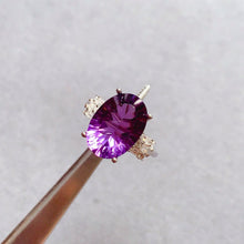 画像をギャラリービューアに読み込む, JCX - 0630 - 134730 - 1 - 貴婦人の宝箱