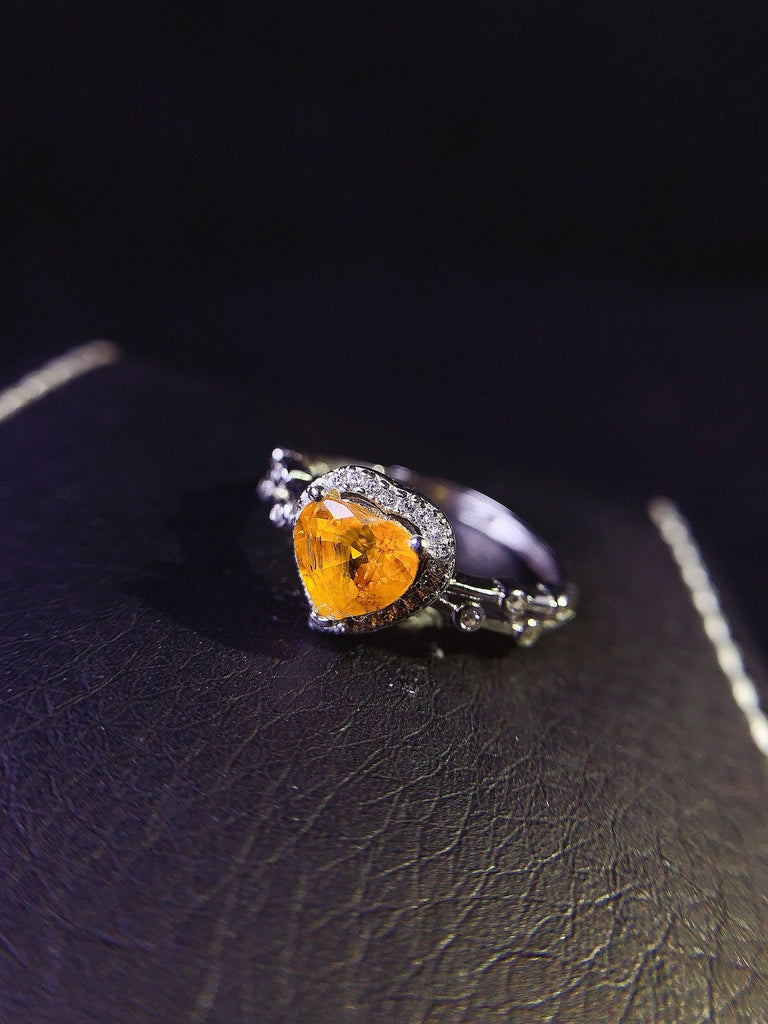 JCX - 0630 - 140114 - 6 - 1 - 貴婦人の宝箱