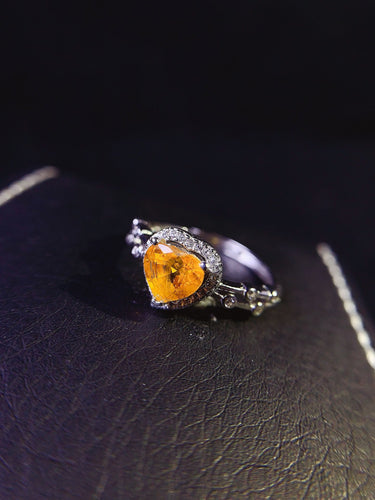 JCX - 0630 - 140114 - 6 - 1 - 貴婦人の宝箱