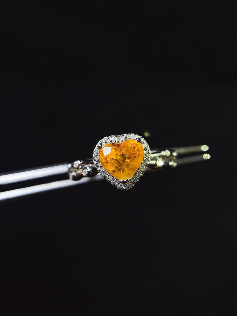 JCX - 0630 - 140114 - 6 - 1 - 貴婦人の宝箱