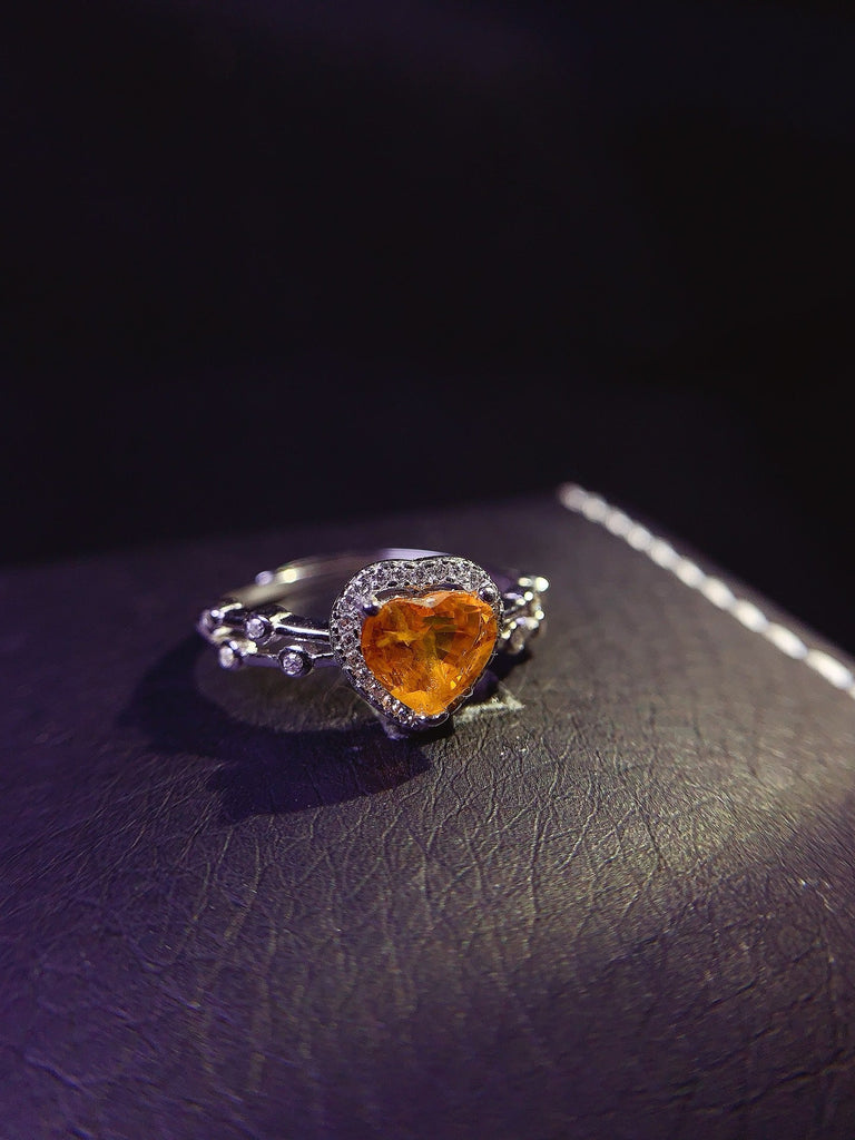 JCX - 0630 - 140114 - 6 - 1 - 貴婦人の宝箱