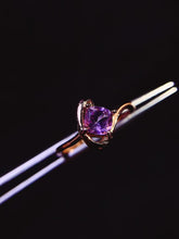 画像をギャラリービューアに読み込む, JCX - 0630 - 143927 - 5 - 1 - 貴婦人の宝箱