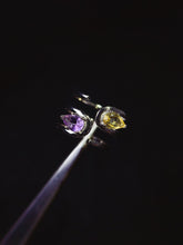 Load image into Gallery viewer, JCX - 0630 - 144139 - 6 - 1 - 貴婦人の宝箱