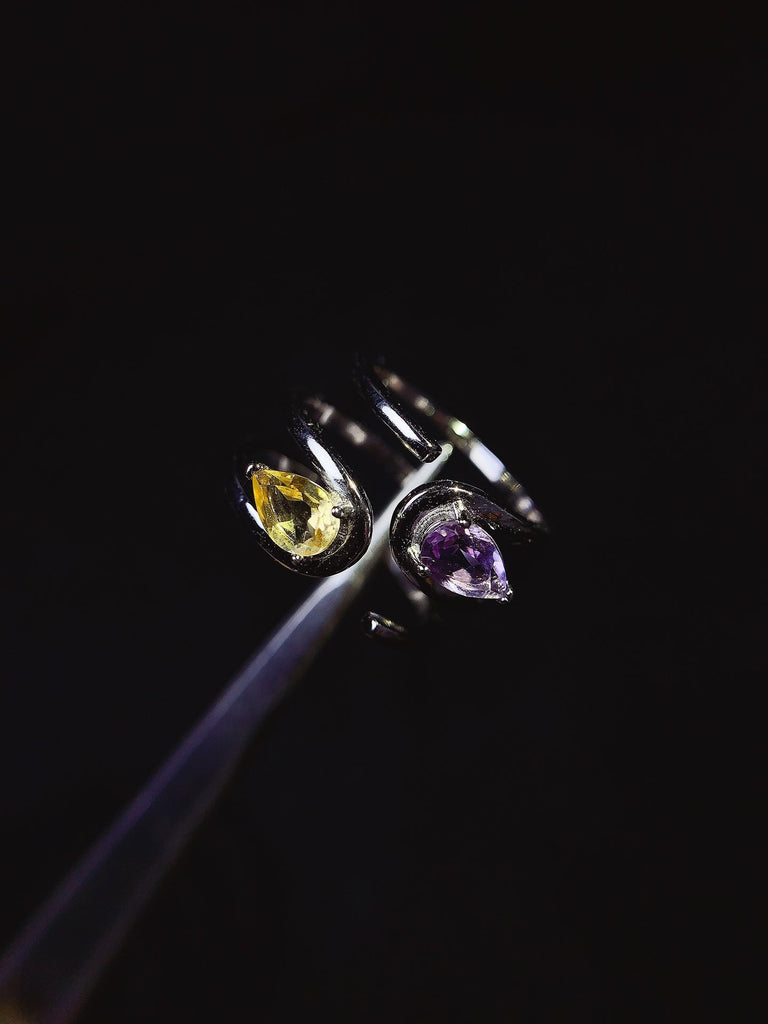 JCX - 0630 - 144139 - 6 - 1 - 貴婦人の宝箱