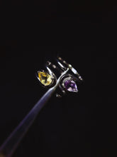 Load image into Gallery viewer, JCX - 0630 - 144139 - 6 - 1 - 貴婦人の宝箱