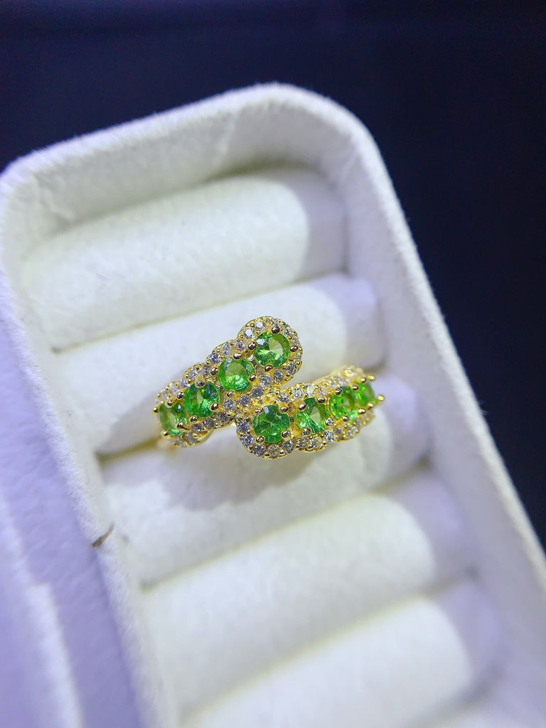 JCX - 0630 - 144741 - 3 - 1 - 貴婦人の宝箱