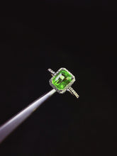 画像をギャラリービューアに読み込む, JCX - 0630 - 144837 - 8 - 1 - 貴婦人の宝箱