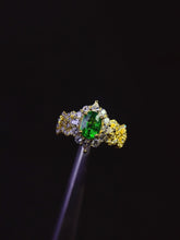 画像をギャラリービューアに読み込む, JCX - 0630 - 144855 - 7 - 1 - 貴婦人の宝箱