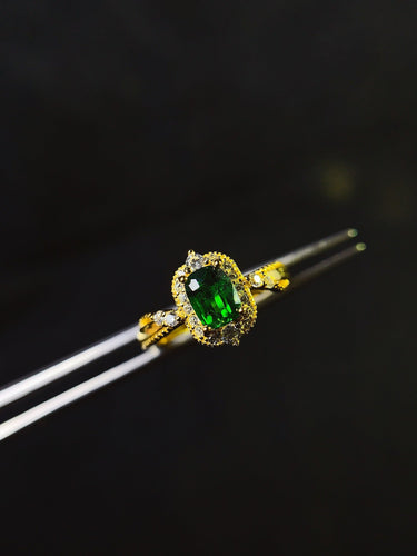 JCX - 0630 - 144939 - 6 - 1 - 貴婦人の宝箱