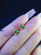 画像をギャラリービューアに読み込む, JCX - 0630 - 145051 - 3 - 1 - 貴婦人の宝箱