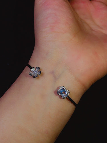 JCX - 0630 - 145202 - 6 - 1 - 貴婦人の宝箱