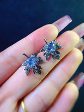 画像をギャラリービューアに読み込む, JCX - 0630 - 145244 - 6 - 1 - 貴婦人の宝箱