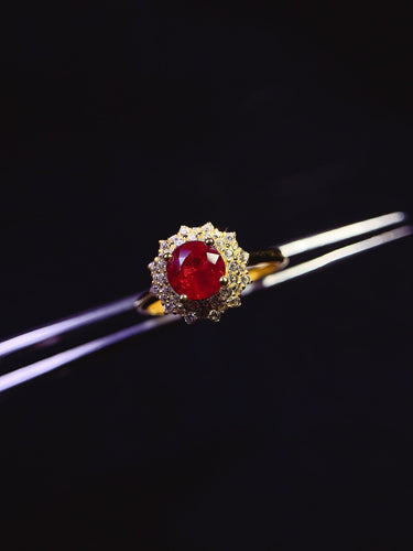 JCX - 0630 - 145751 - 5 - 1 - 貴婦人の宝箱