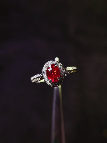 JCX - 0630 - 150032 - 7 - 1 - 貴婦人の宝箱