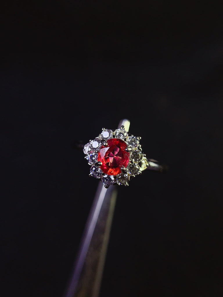 JCX - 0630 - 150140 - 7 - 1 - 貴婦人の宝箱