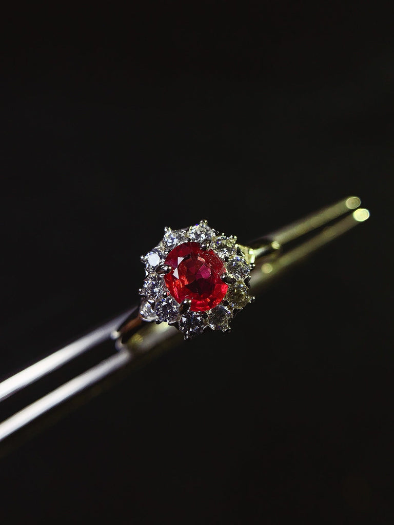 JCX - 0630 - 150140 - 7 - 1 - 貴婦人の宝箱