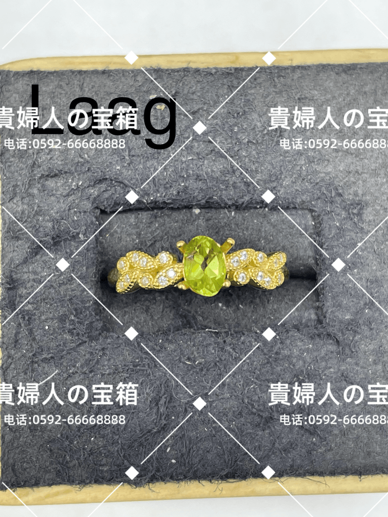 laag - 貴婦人の宝箱