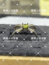 画像をギャラリービューアに読み込む, lahc - 貴婦人の宝箱