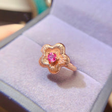 画像をギャラリービューアに読み込む, LBL - 0527 - 111028 - 4 - 1 - 貴婦人の宝箱