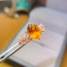 画像をギャラリービューアに読み込む, LBL - 0527 - 173527 - 9 - 1 - 貴婦人の宝箱