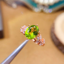 画像をギャラリービューアに読み込む, LBL - 0527 - 173611 - 9 - 1 - 貴婦人の宝箱