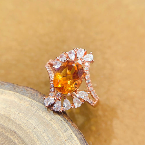 LBL - 0528 - 093922 - 9 - 1 - 貴婦人の宝箱